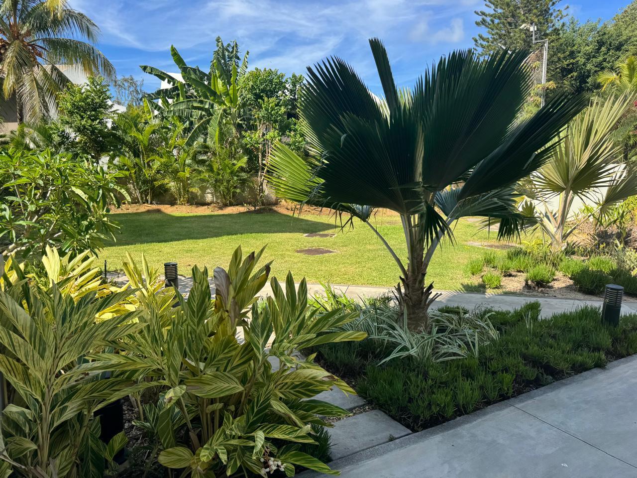 Penthouse en bord de mer à vendre – Pointe aux Piments