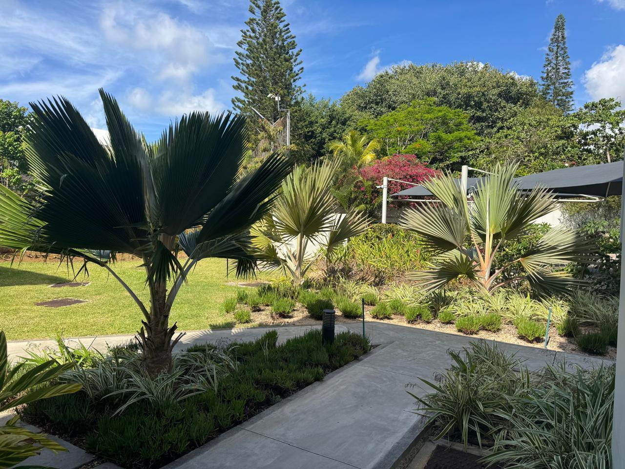 Penthouse en bord de mer à vendre – Pointe aux Piments