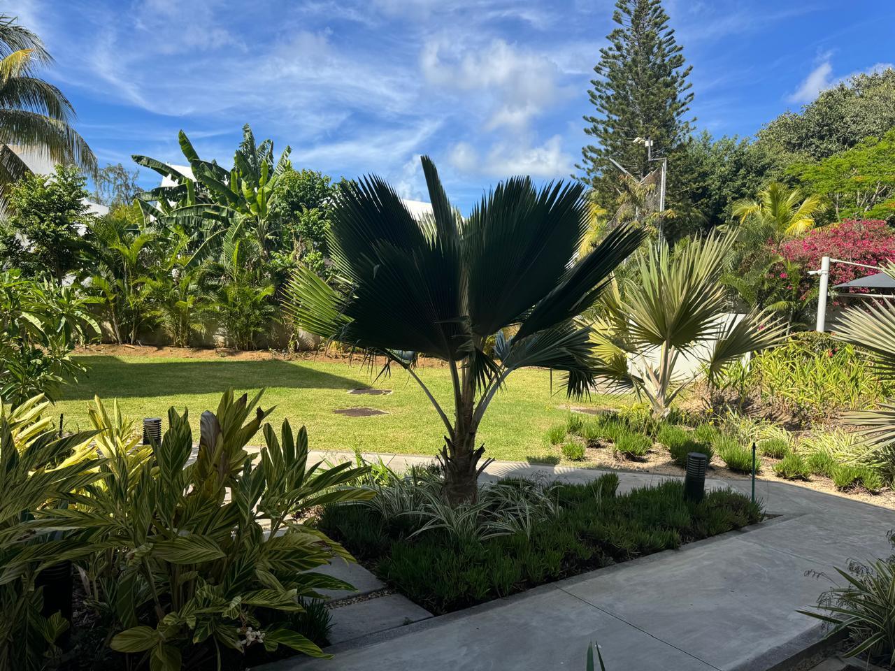 Penthouse en bord de mer à vendre – Pointe aux Piments