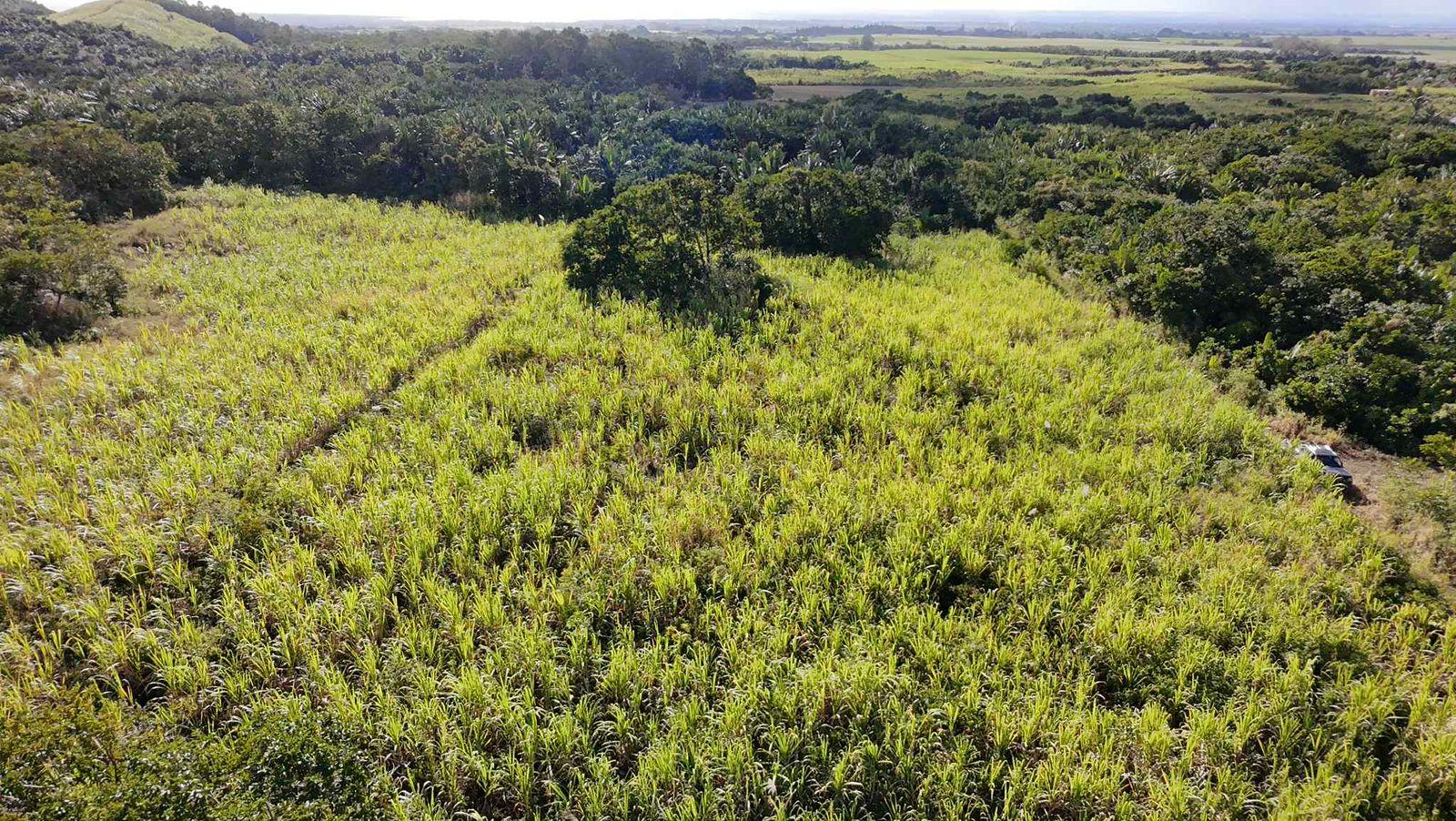 Terrain agricole à vendre à St Julien dans le secteur de Flacq. Surface de 26.350m², vue montagne. Prix en baisse à Rs 7 000 000.