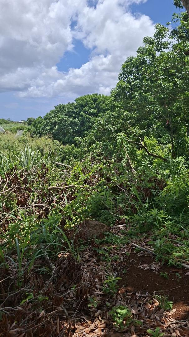 Terrain Agricole à Vendre à Ilot, D'Epinay – 18 572 m² avec Accès Rivière & Vue Montagne