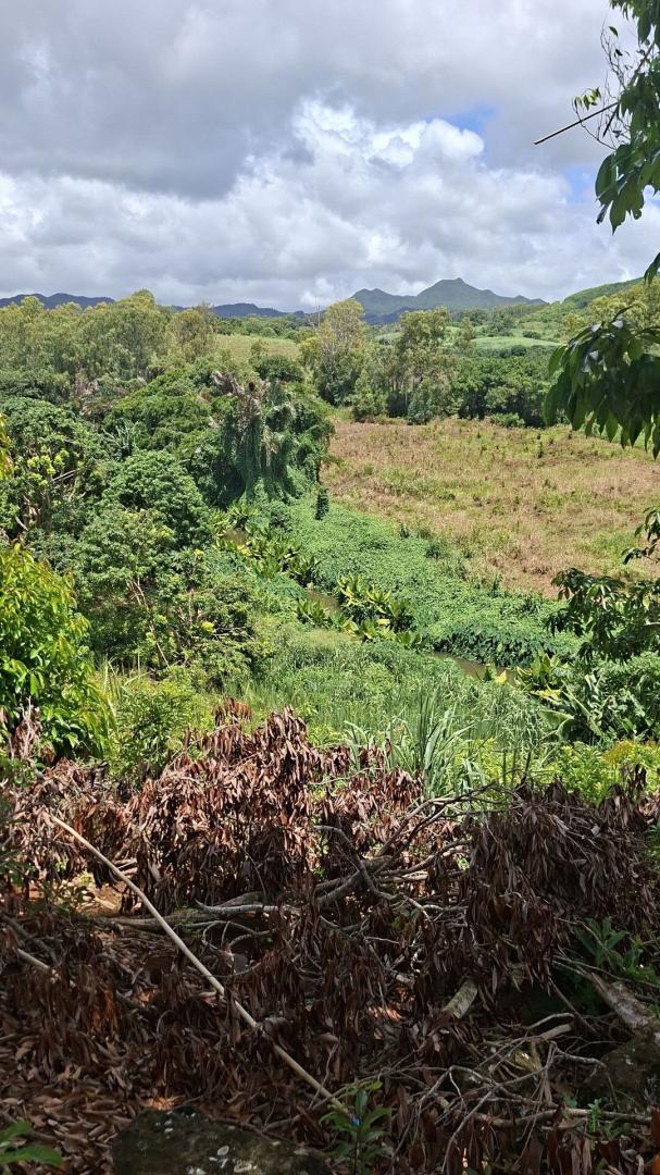 Terrain Agricole à Vendre à Ilot, D'Epinay – 18 572 m² avec Accès Rivière & Vue Montagne