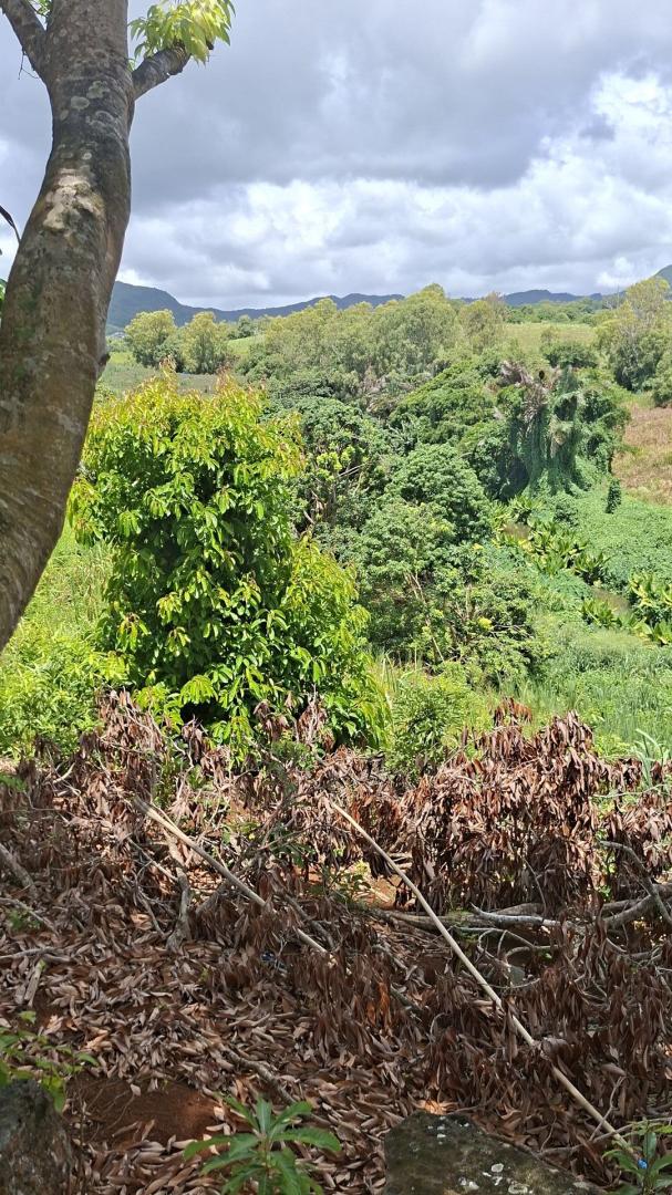 Terrain Agricole à Vendre à Ilot, D'Epinay – 18 572 m² avec Accès Rivière & Vue Montagne