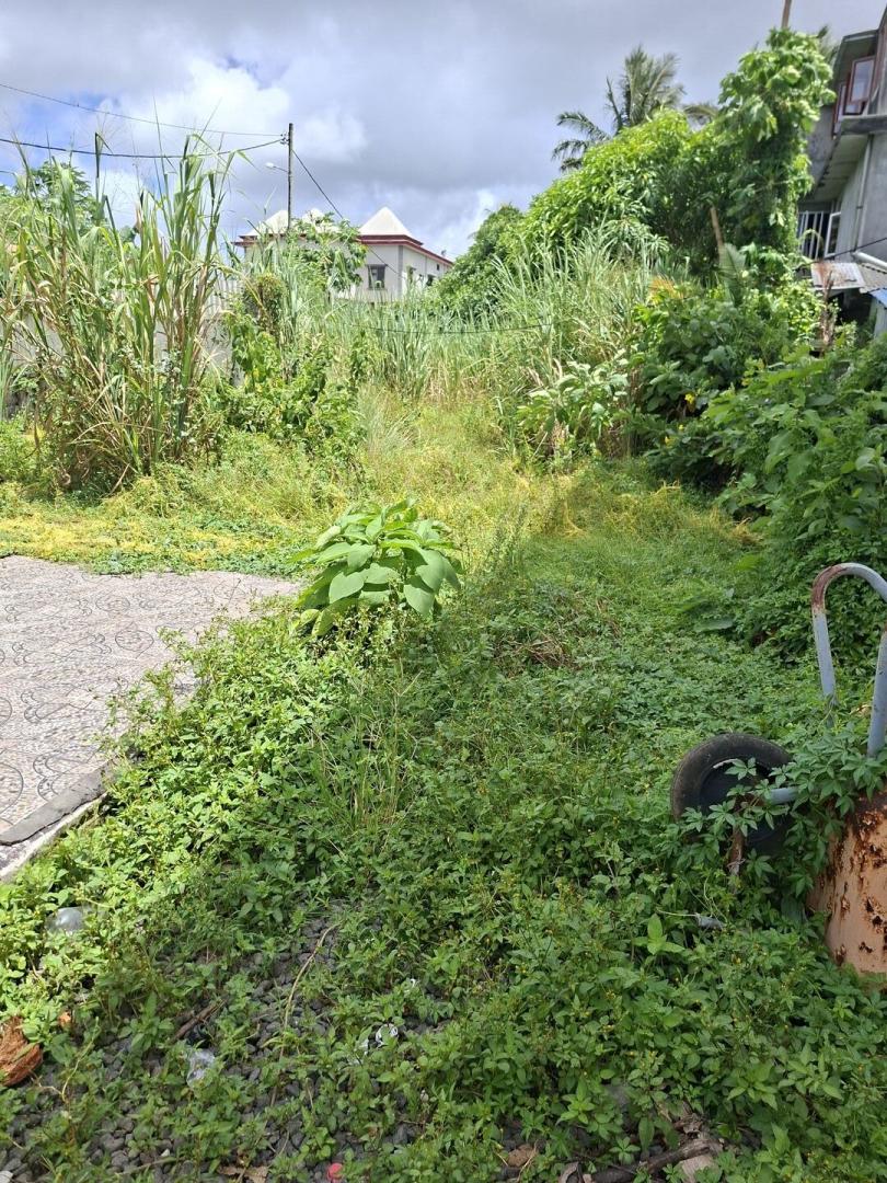 Terrain Commercial et Résidentiel à Vendre – Mare D'Albert, Île Maurice