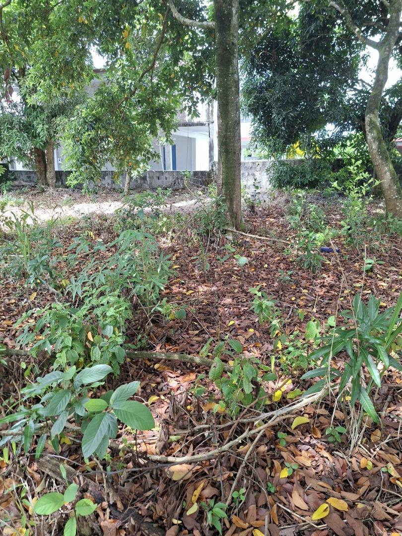 Terrain Commercial et Résidentiel à Vendre – Mare D'Albert, Île Maurice