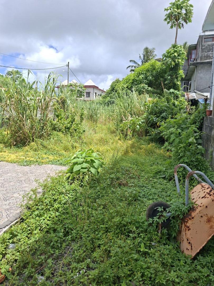 Terrain Commercial et Résidentiel à Vendre – Mare D'Albert, Île Maurice
