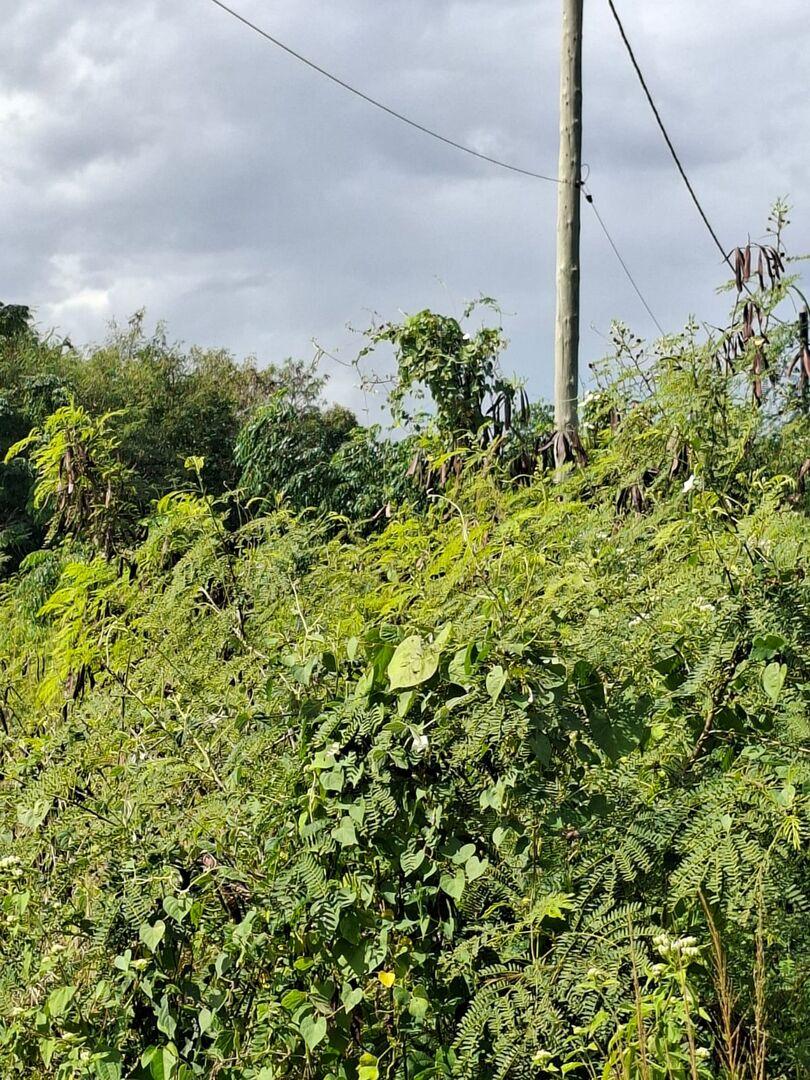 Terrain de 1,15 Arpent à Vendre à Pointe aux Biches | Opportunité de Développement PDS à l’Île Maurice