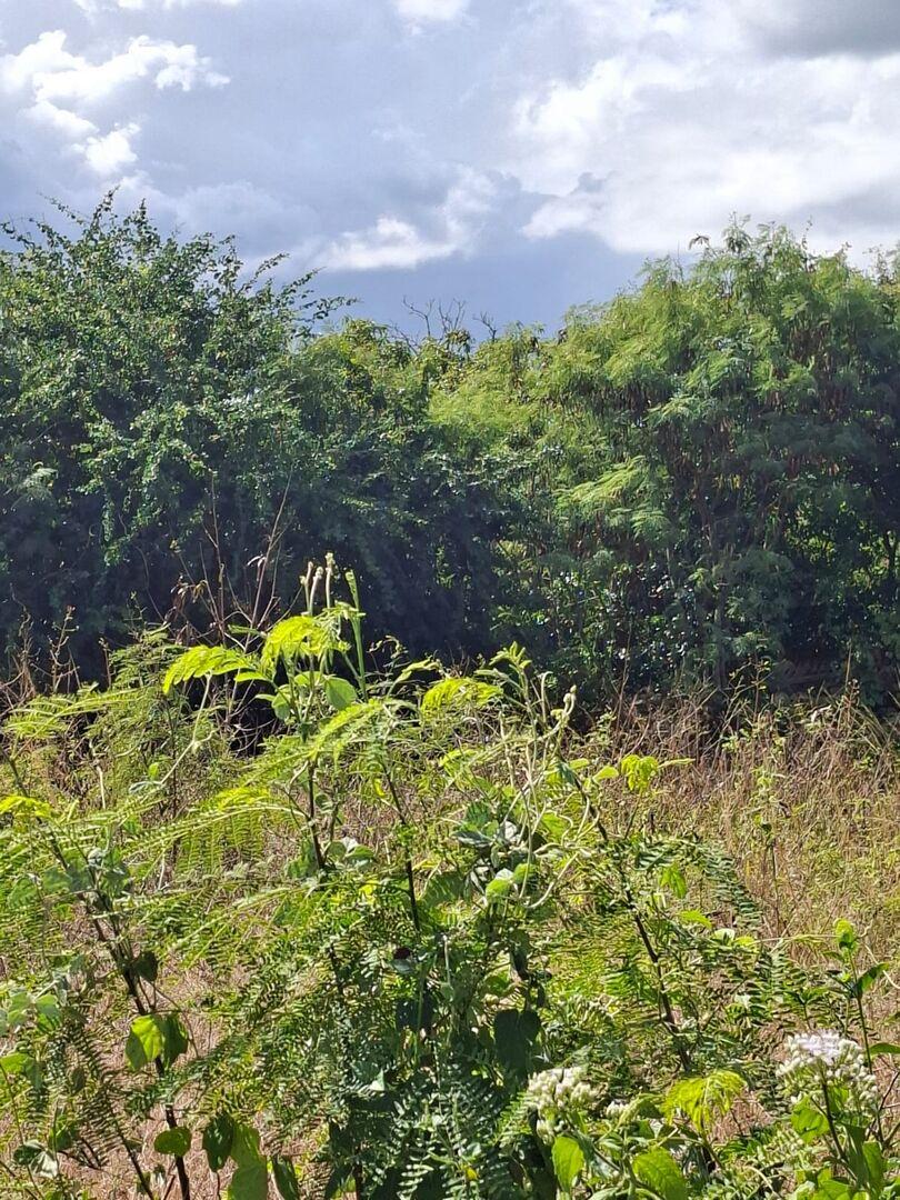 Terrain de 1,15 Arpent à Vendre à Pointe aux Biches | Opportunité de Développement PDS à l’Île Maurice