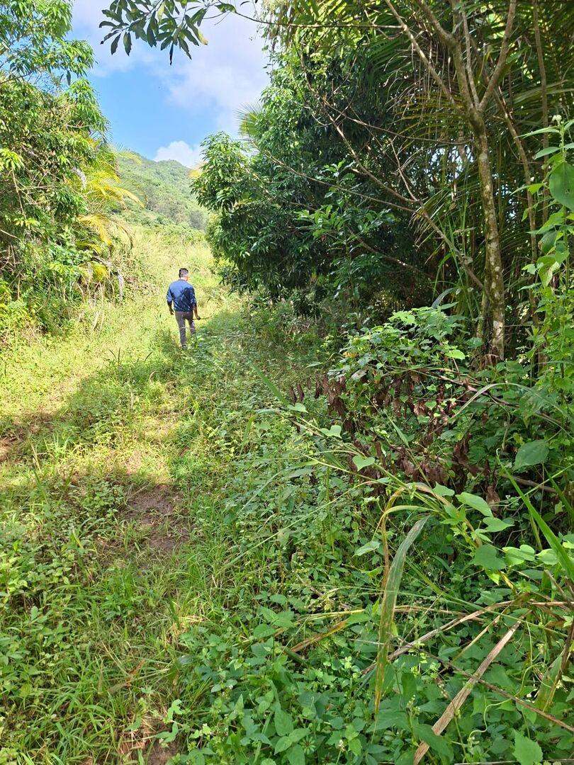 Terrain de 1 Arpent à Vendre à Les Mariannes, Île Maurice – Vue Panoramique sur la Mer et les Montagnes