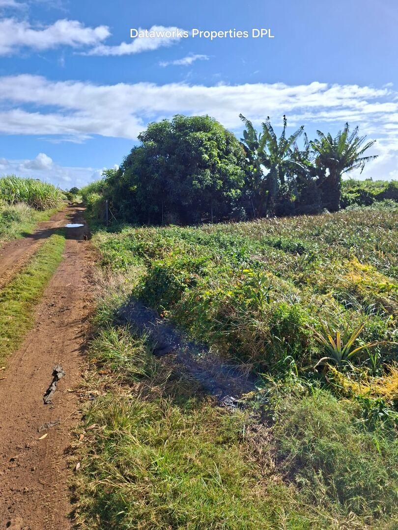 Terrain Premium de 1 Arpent à Ilot, Île Maurice – Vue Montagne et Bord de Rivière