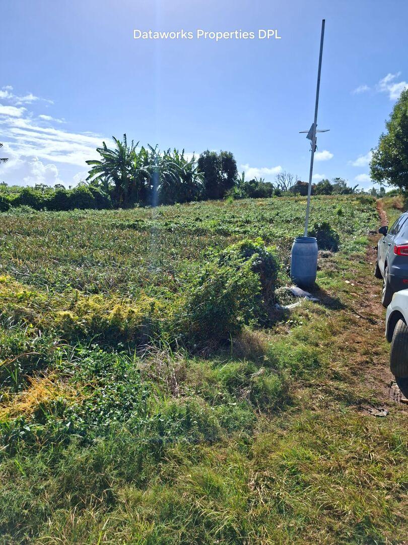 Terrain Premium de 1 Arpent à Ilot, Île Maurice – Vue Montagne et Bord de Rivière