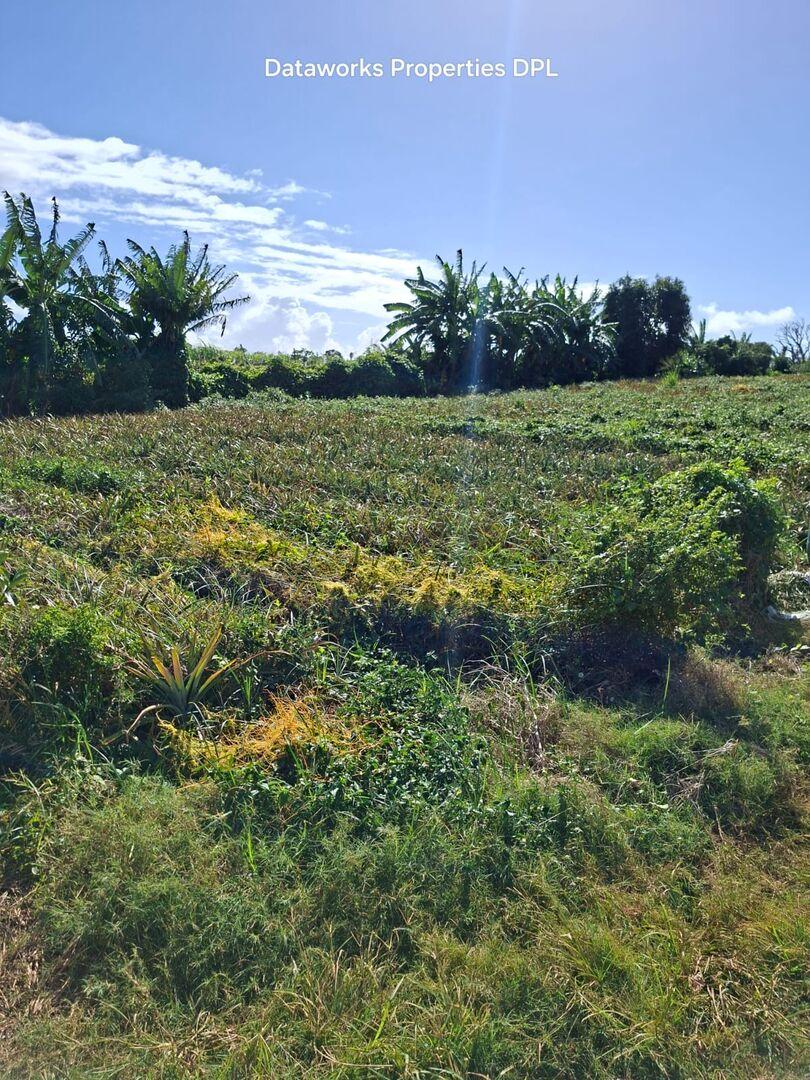 Terrain Premium de 1 Arpent à Ilot, Île Maurice – Vue Montagne et Bord de Rivière