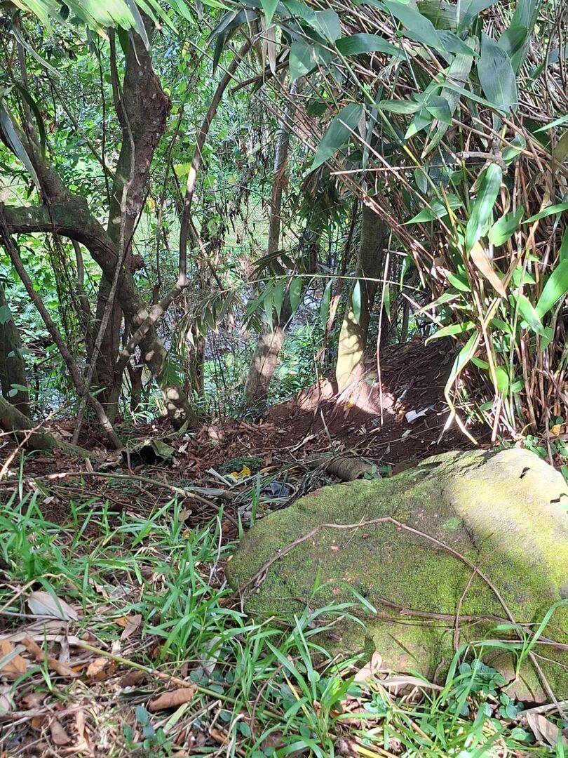 Terrain à vendre à Moka, Île Maurice – 29 perches avec accès à la rivière et vue panoramique