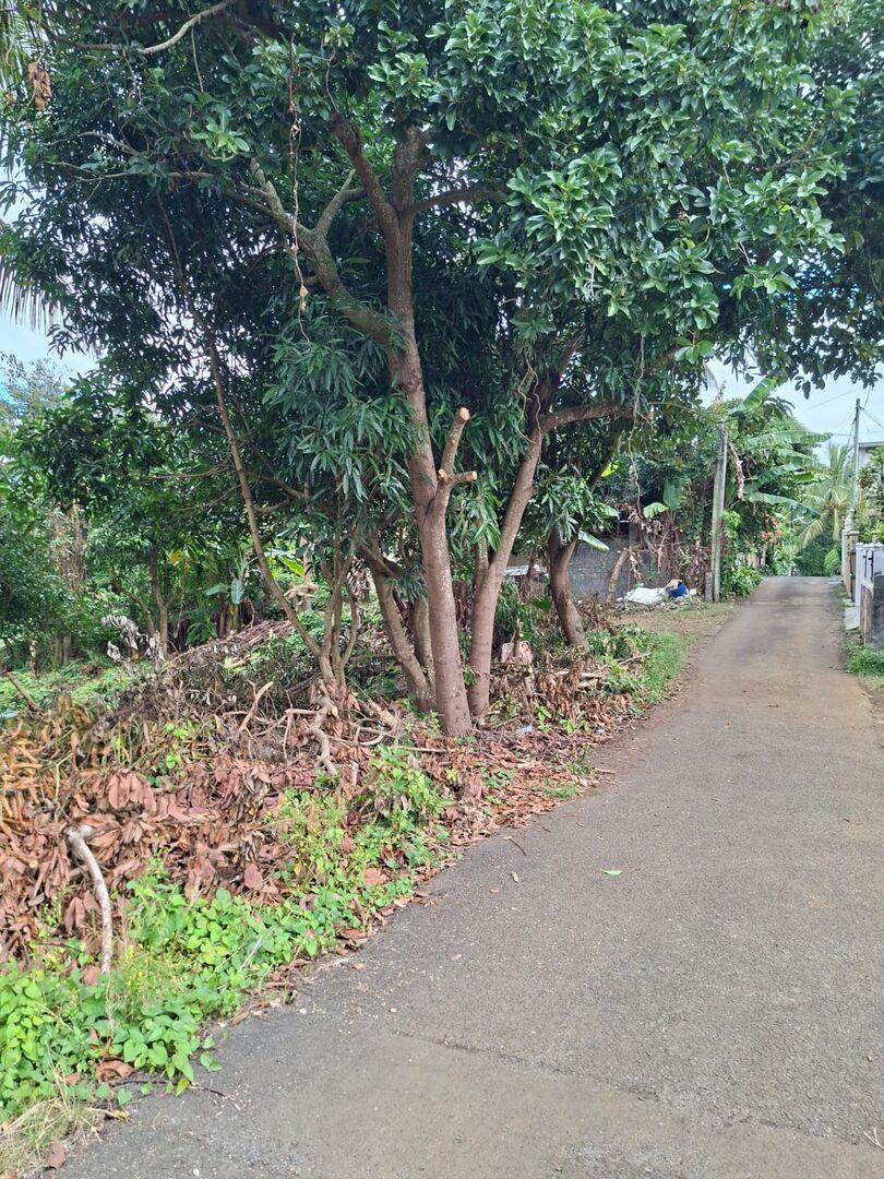 Terrain à vendre à Moka, Île Maurice – 29 perches avec accès à la rivière et vue panoramique