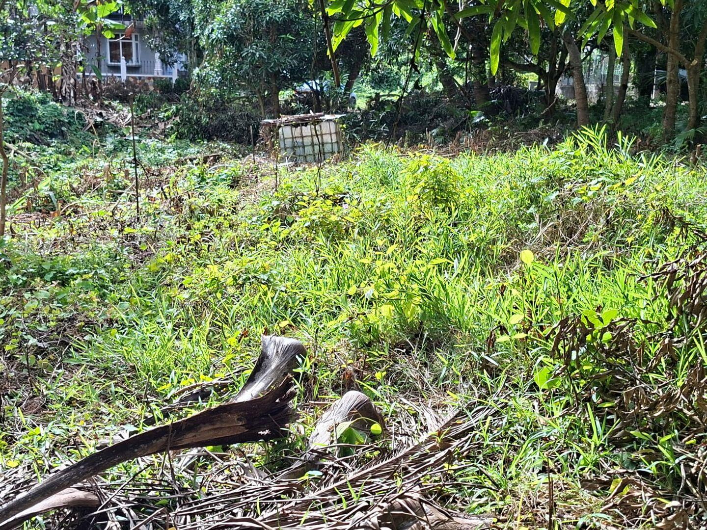 Terrain à vendre à Moka, Île Maurice – 29 perches avec accès à la rivière et vue panoramique