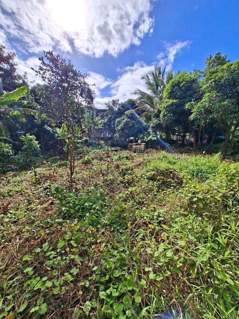 Terrain à vendre à Moka, Île Maurice – 29 perches avec accès à la rivière et vue panoramique