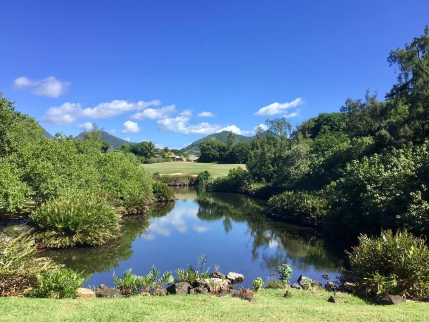 Superb luxury IRS villa in the East