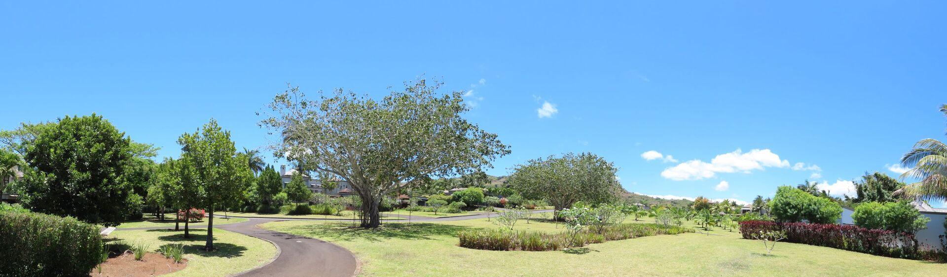 Property Slider Image