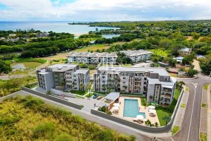 cosy bay 8
