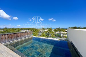Appartement avec rooftop à vendre à Pointe aux Canonniers, 205m², 2 chambres, piscine commune, parking sécurisé – Pointe aux Canonniers