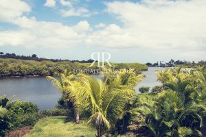 7West IslandRE6