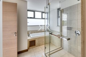 Low res5294