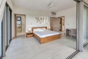 Low res5284
