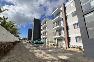IMG7437