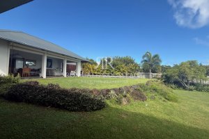 IMG7106
