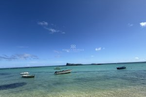IMG9784