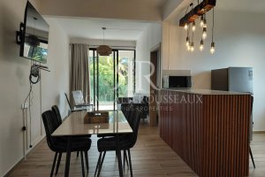 Apartment la Gaulette 4