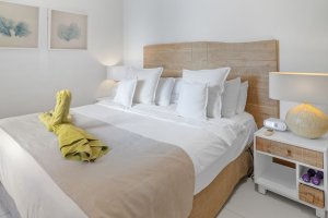 Master Bedroom 2