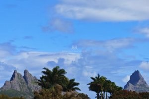 IMG20260805104359edit703644650635746