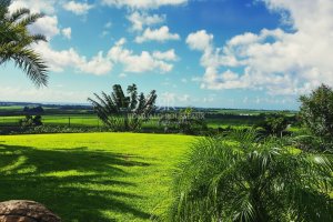Sea view No. 1 Hillside 997KB