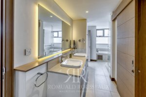 Low res5291