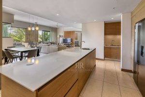 Low res5351