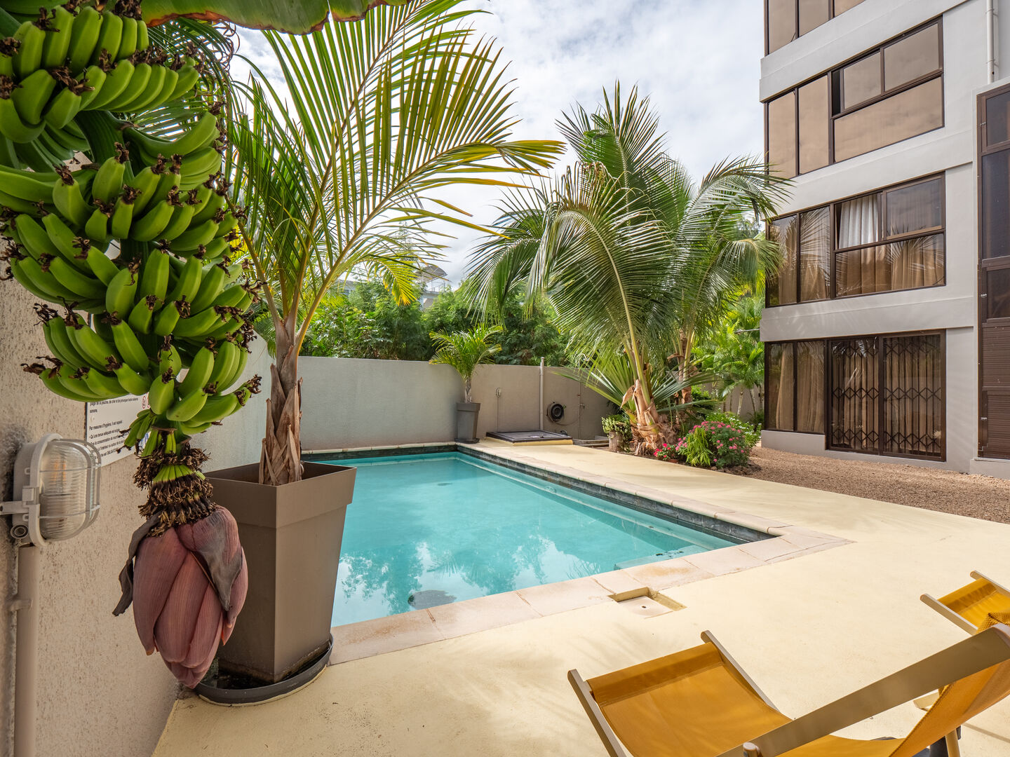apartment flat for rent long term tamarin black ri