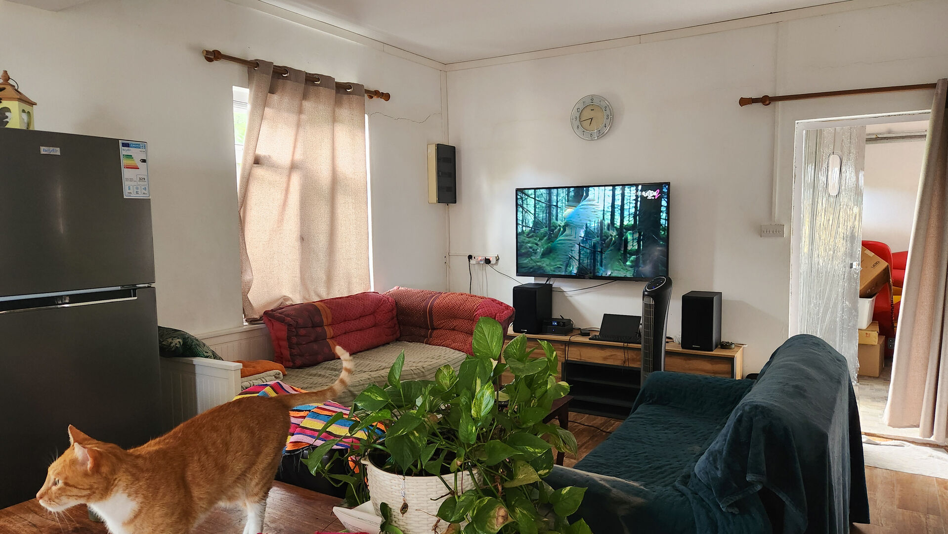 maison location 2ch La Gaulette9