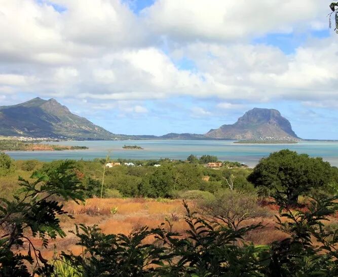 Harmonievillavuewestimmo