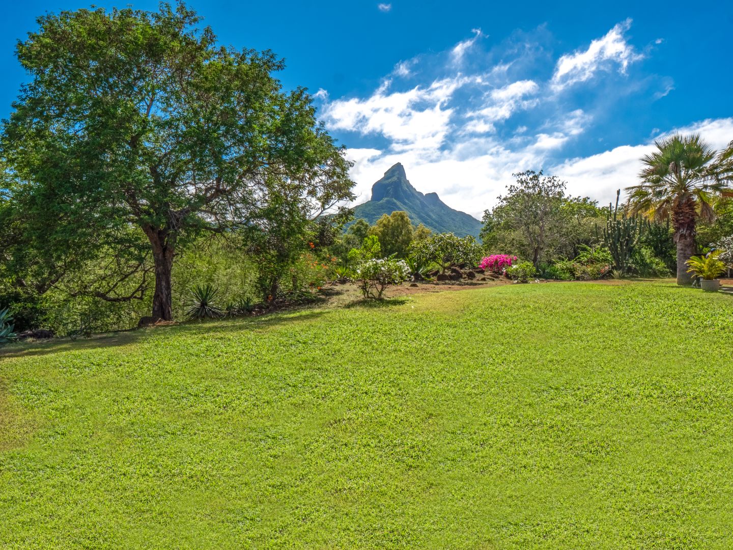 villa a vendre tamarina maurice westimmo14
