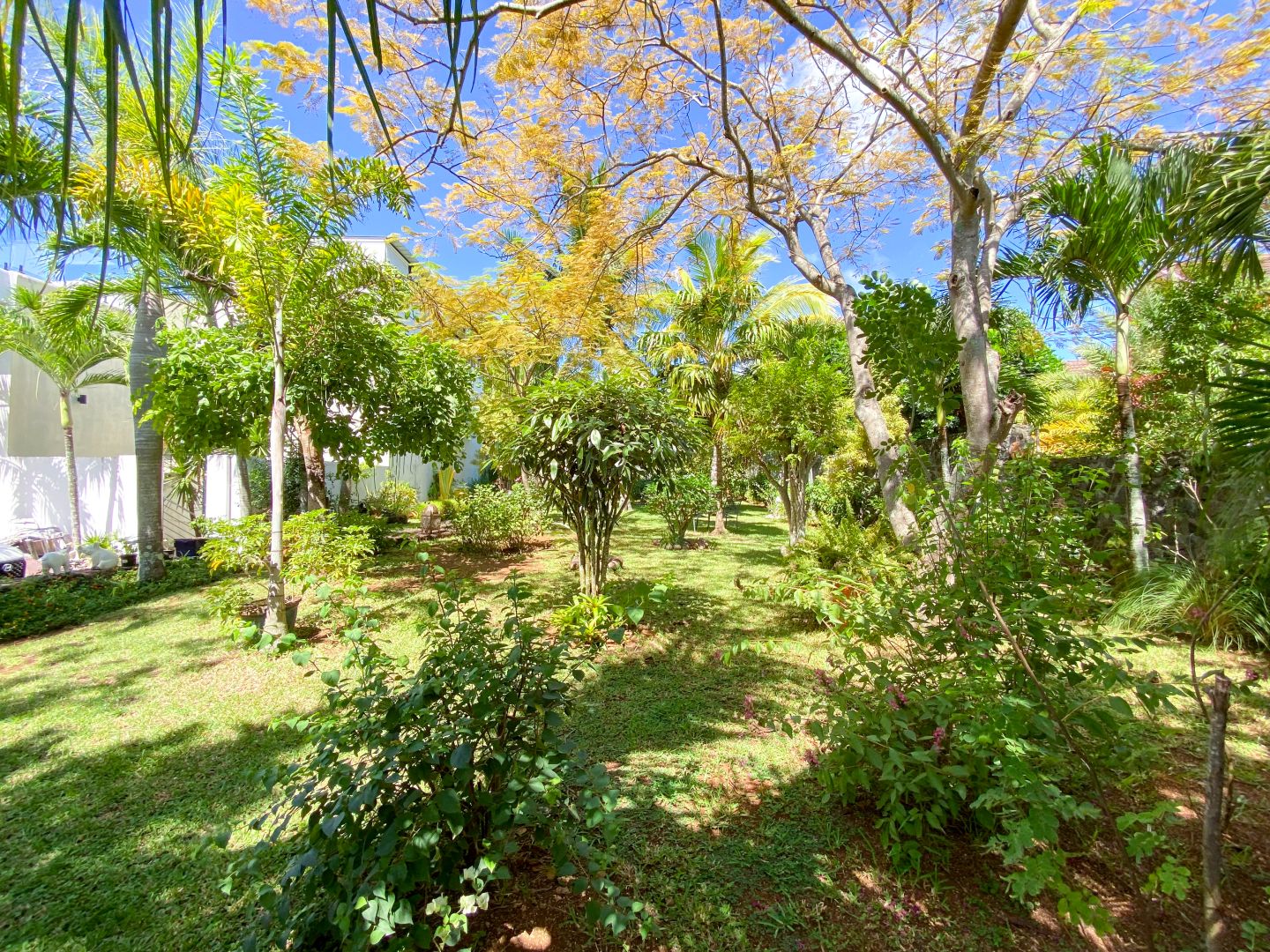 Villa Callodyne69