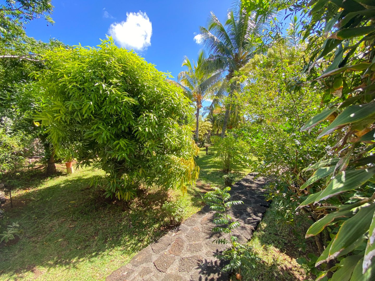 Villa Callodyne74