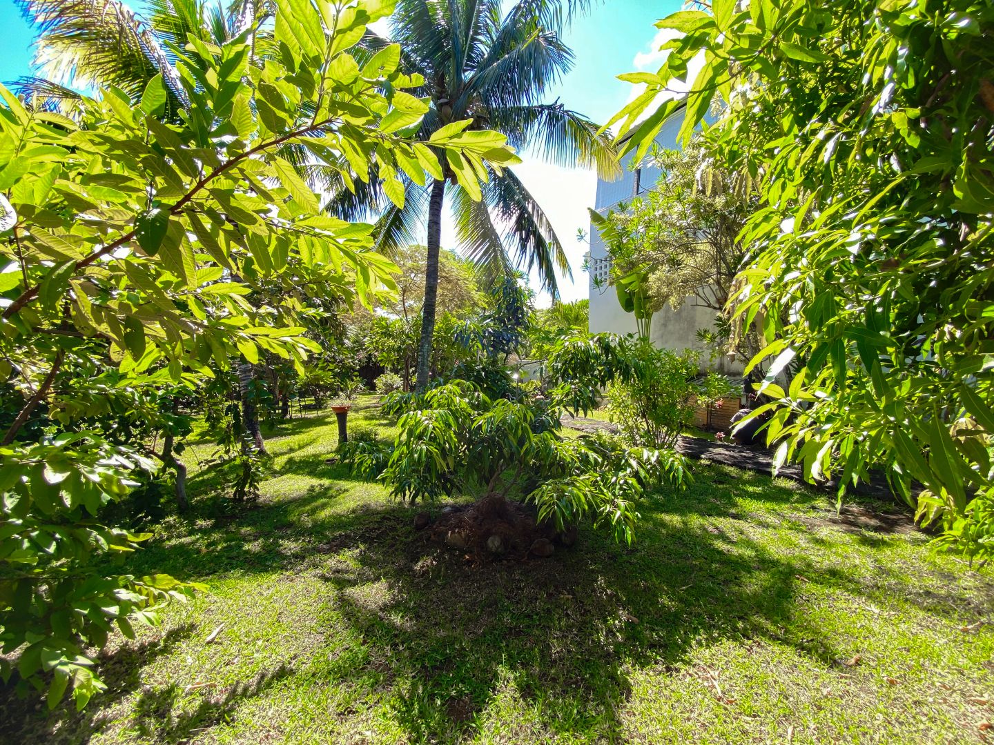Villa Callodyne73