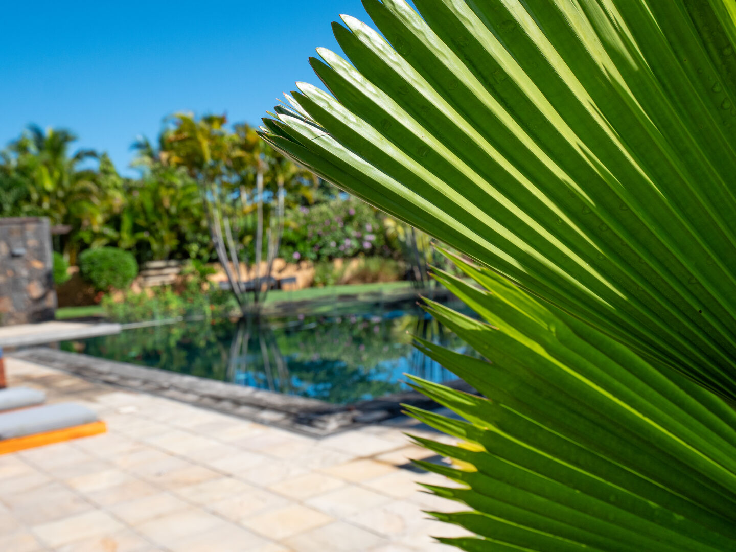 villa de luxe a louer long terme tamarin golf40