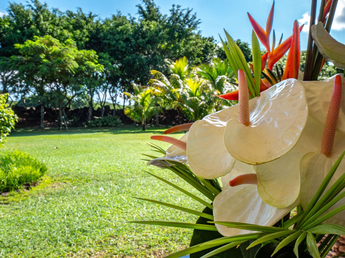 villa de luxe a louer long terme tamarin golf46