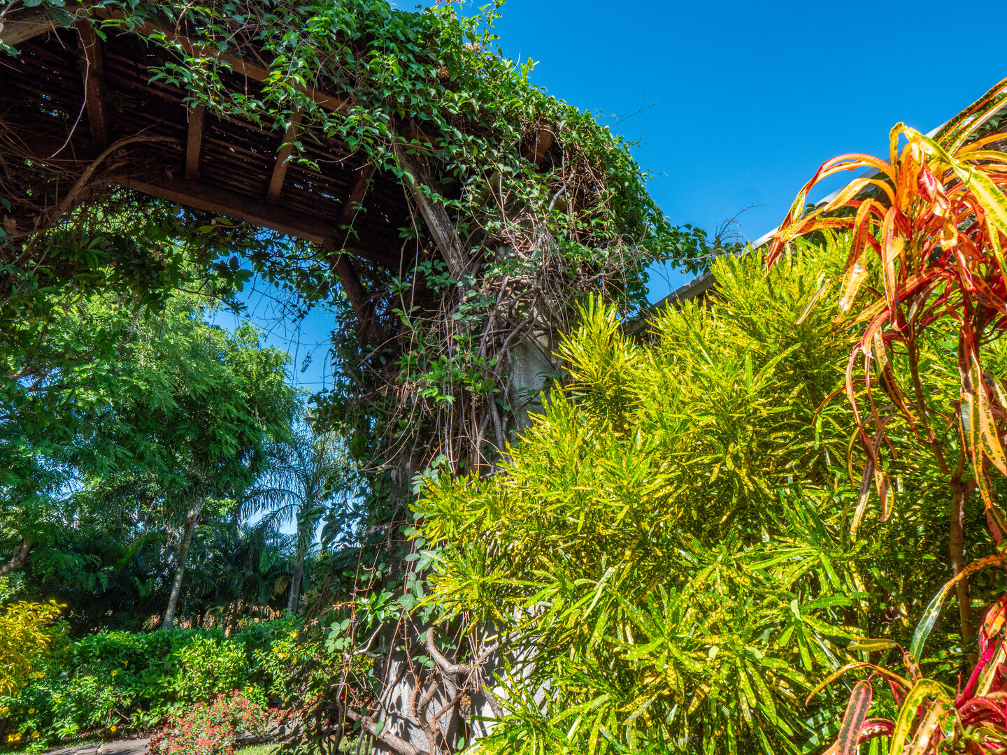 villa de luxe a louer long terme tamarin golf50