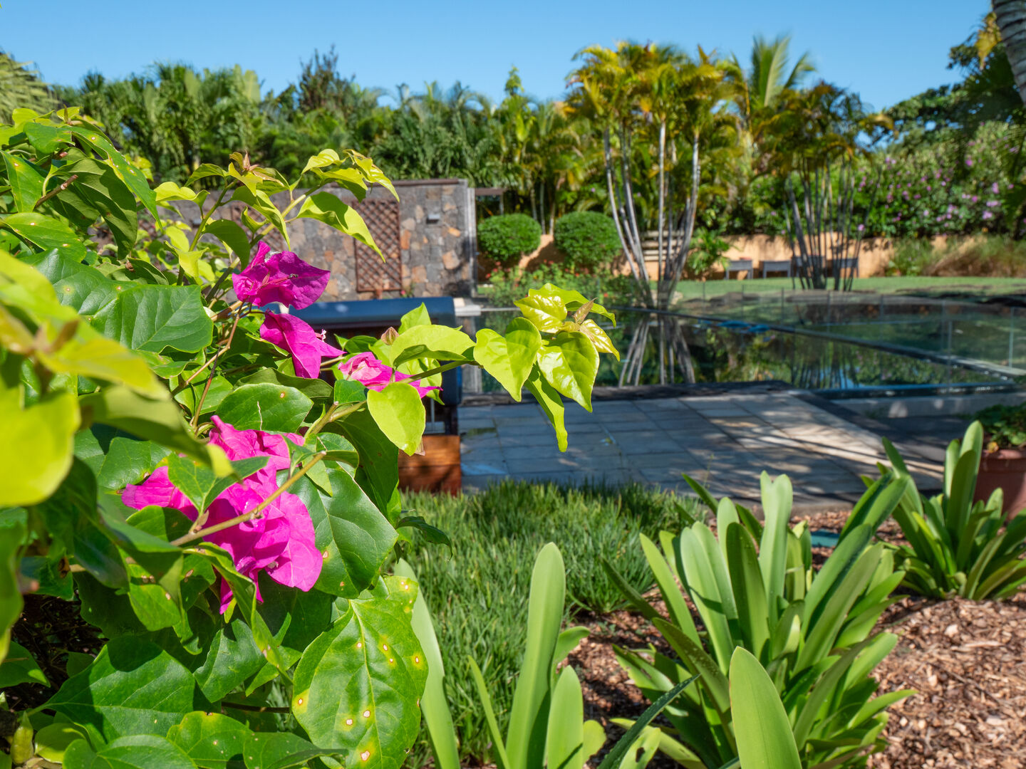 villa de luxe a louer long terme tamarin golf37