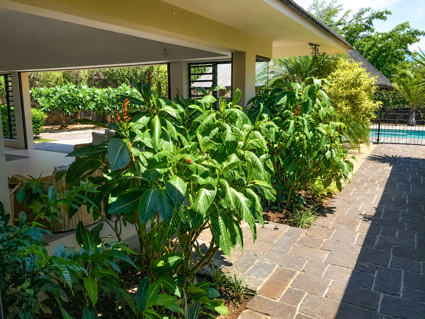 location villa tamarin ile maurice21