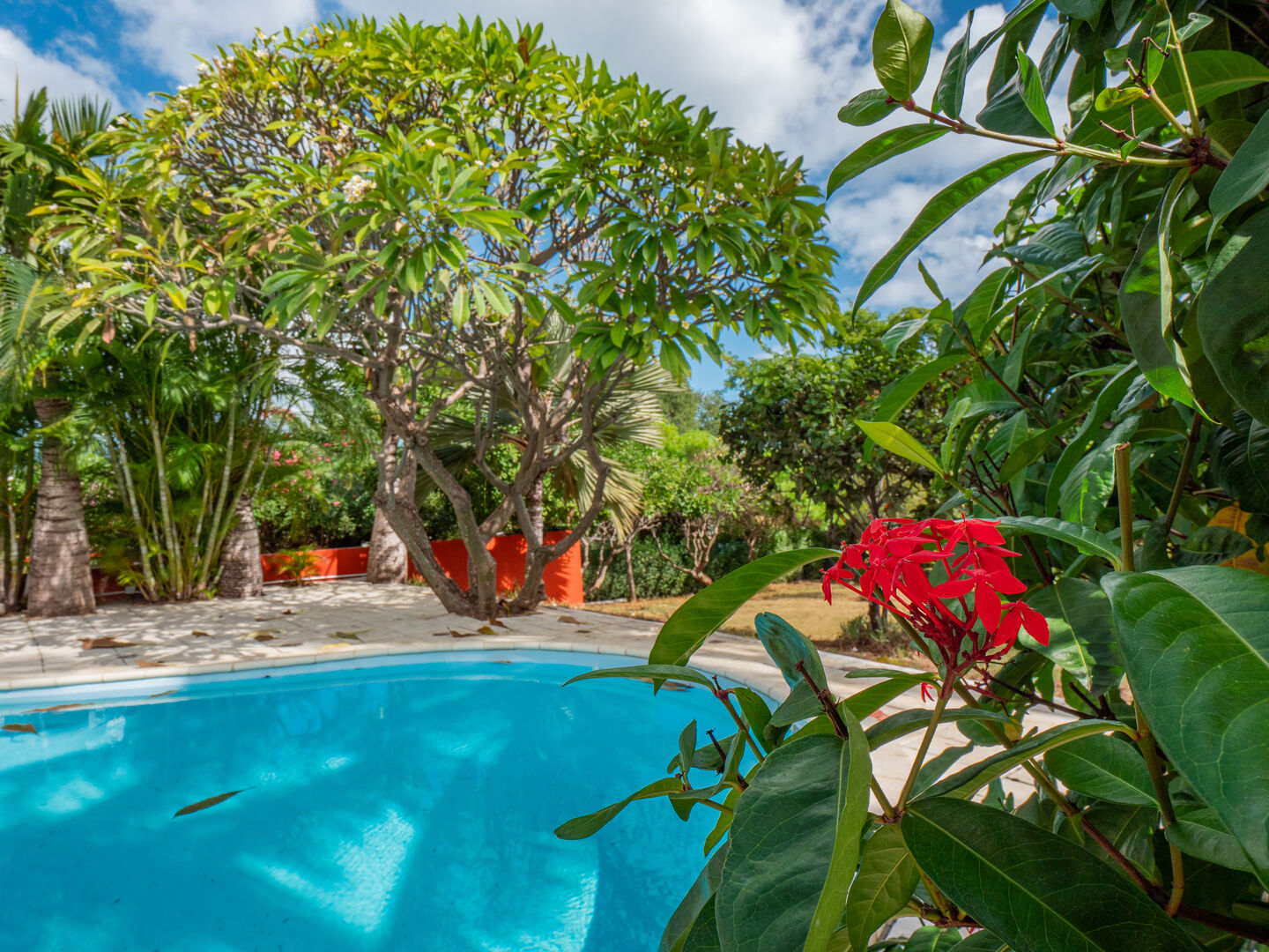 villa for rent long term tamarin black river mauri