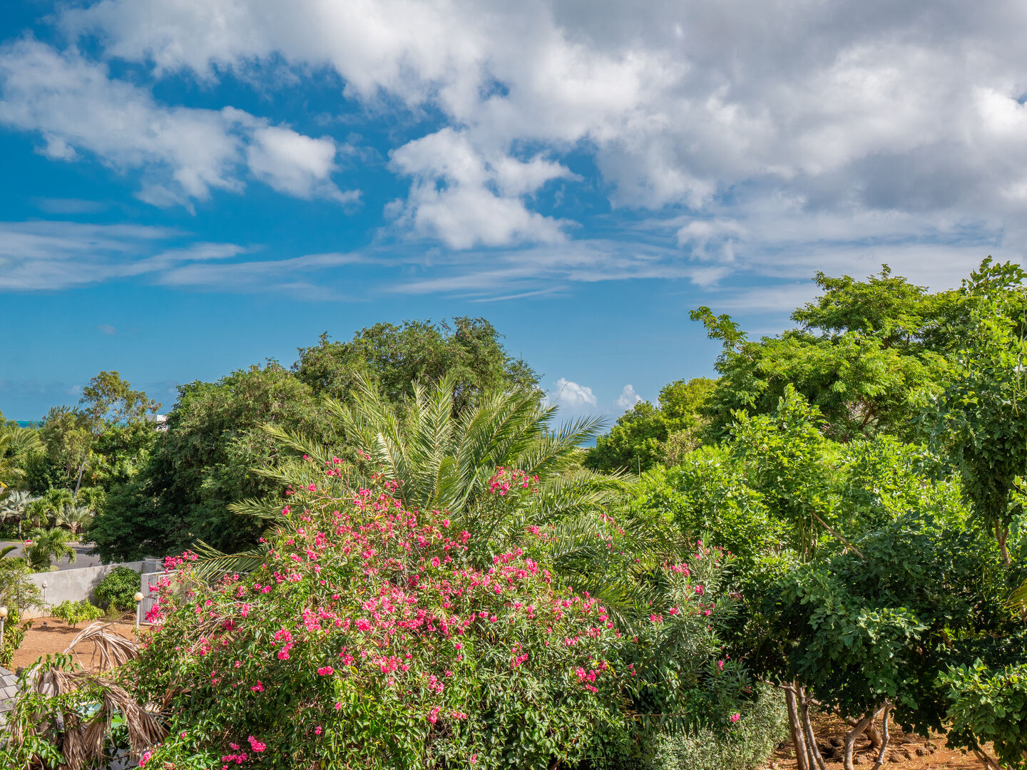 villa for rent long term tamarin black river mauri